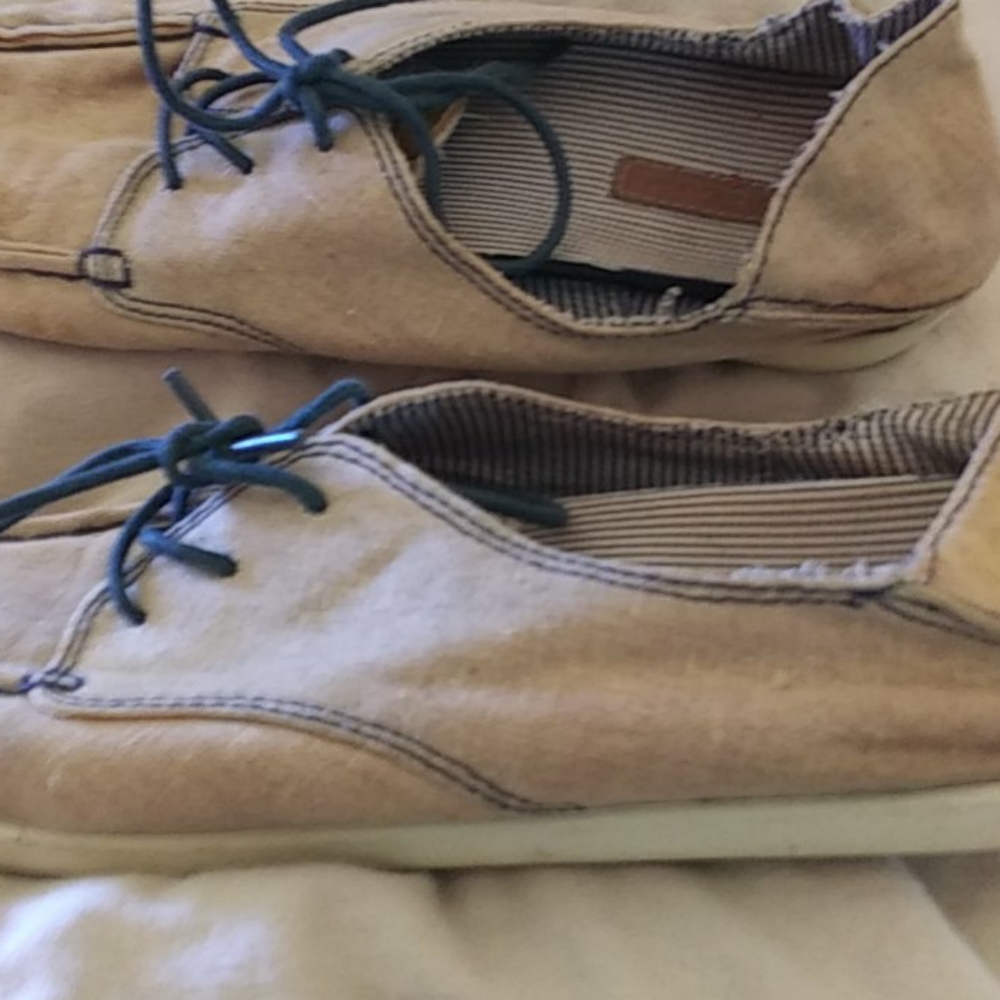 Shies - Picture 3 of 8